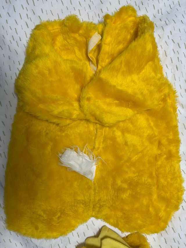 Disfraz de pato/ abeja/ pollito/ mono