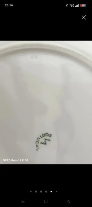 Prato Vista Alegre Coleção Moluscos