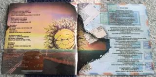 Efecto Mariposa - Complejidad