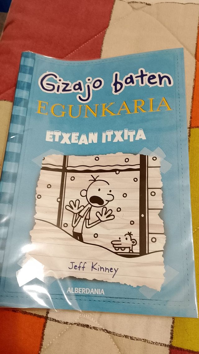 Etxean itxita: Gizajo baten egunkaria 6