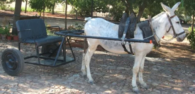 Carro de tracción animal