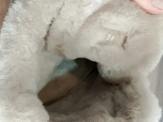 Candice Cooper Scarpe Donna Invernali Beige Tg 38