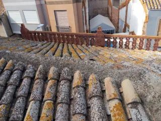 Tejados, Goteras, terrazas, cubiertas y techos.