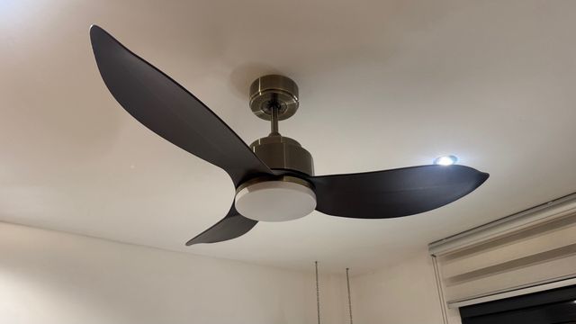 Lámpara Ventilador de Techo Negra y Dorada