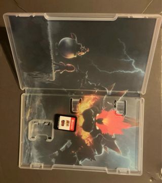 Super Mario 3D World + Bowser's Fury Switch