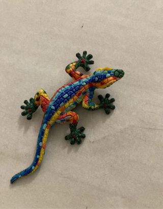 Calamita lucertola colorata