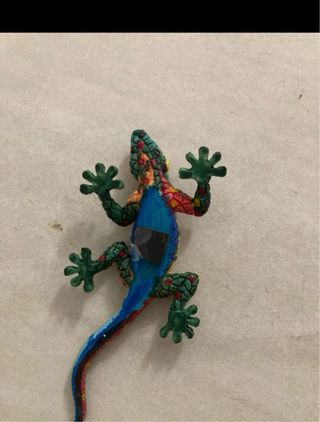 Calamita lucertola colorata