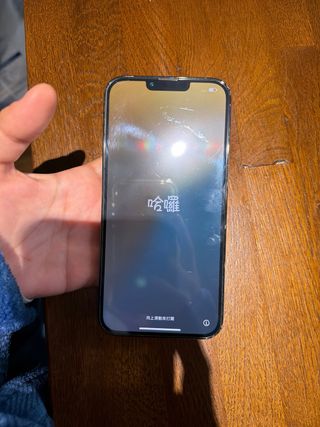 iPhone 13 Pro Max 256GB Plata