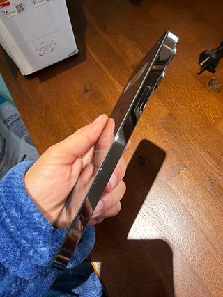 iPhone 13 Pro Max 256GB Plata