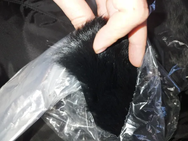 Giacca donna piuma nera