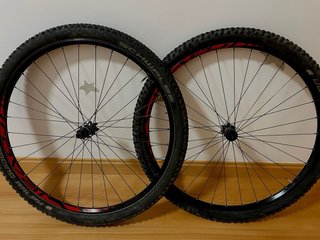 KIT Specialized Epic S-Works 29”