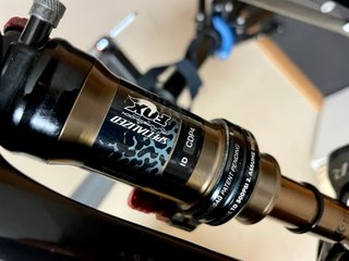 KIT Specialized Epic S-Works 29”