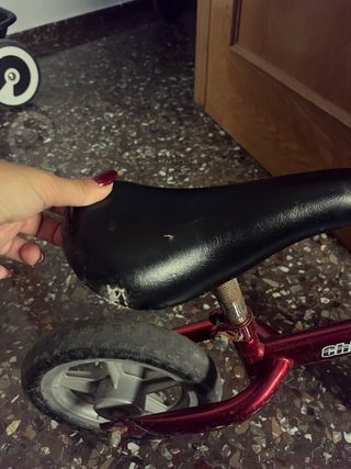 Bici sin pedales Chicco Red Bullet