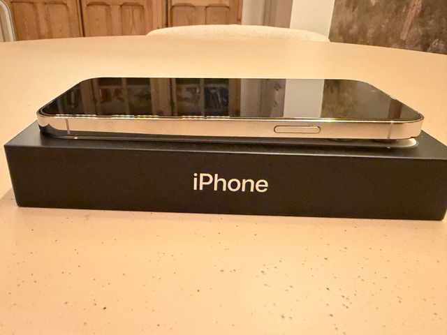 iPhone 13 Pro Max 256GB Plata