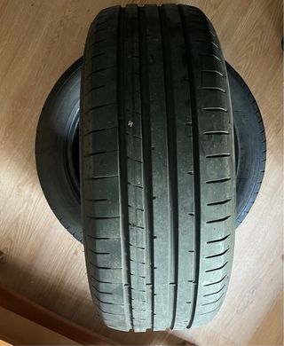 Neumáticos Dunlop 215/55 R17 98W 2319
