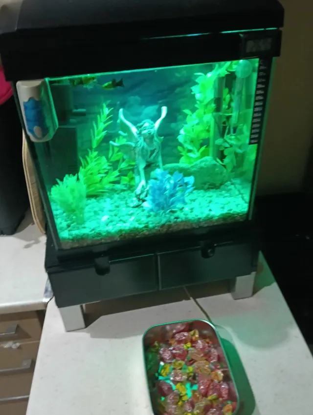 Acuario 33L completo