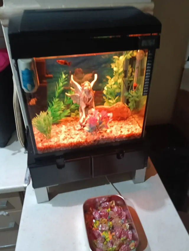 Acuario 33L completo