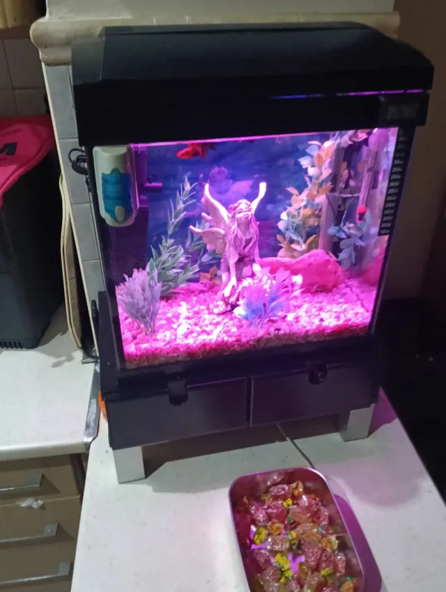 Acuario 33L completo