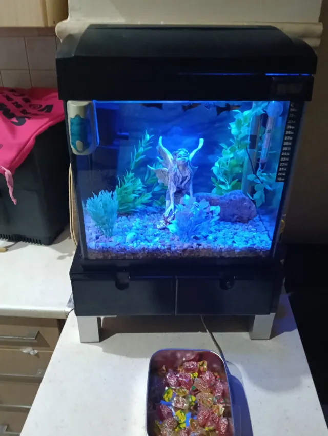 Acuario 33L completo