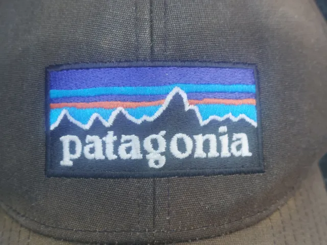 Lote 2 Gorras Filson y Patagonia