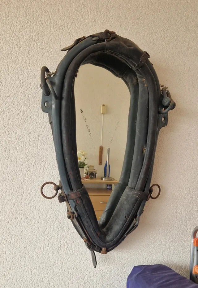 Collarón de caballería con espejo