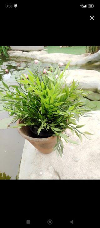 Macetas antiguas de resina y terracota