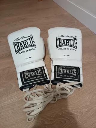 Guantes Boxeo Charlie TNT Tijuana