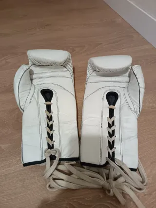 Guantes Boxeo Charlie TNT Tijuana