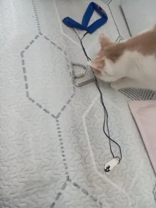 Guitarra Clásica Real Musical 1983