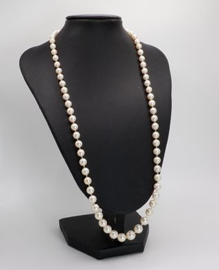 Collana Perle Akoya Oro Giallo