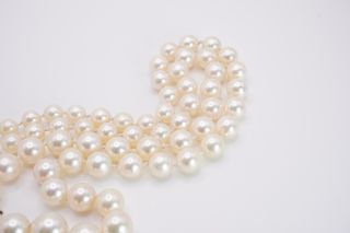 Collana Perle Akoya Oro Giallo