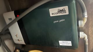 Ecofrog Edición Limitada