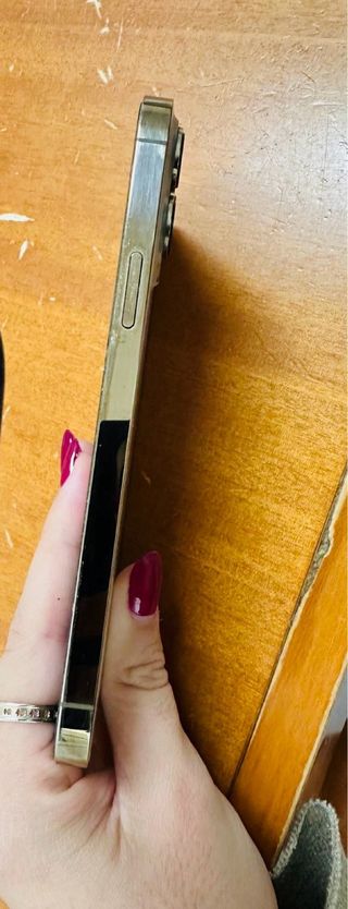 iPhone 13 Pro Max Apple