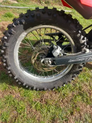 Gas Gas FS 450 leer bien