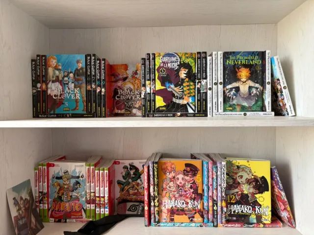 Varias colecciones manga y libros varios