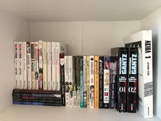 Varias colecciones manga y libros varios