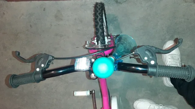 Bicicleta Wildtrak 16". En buen estado