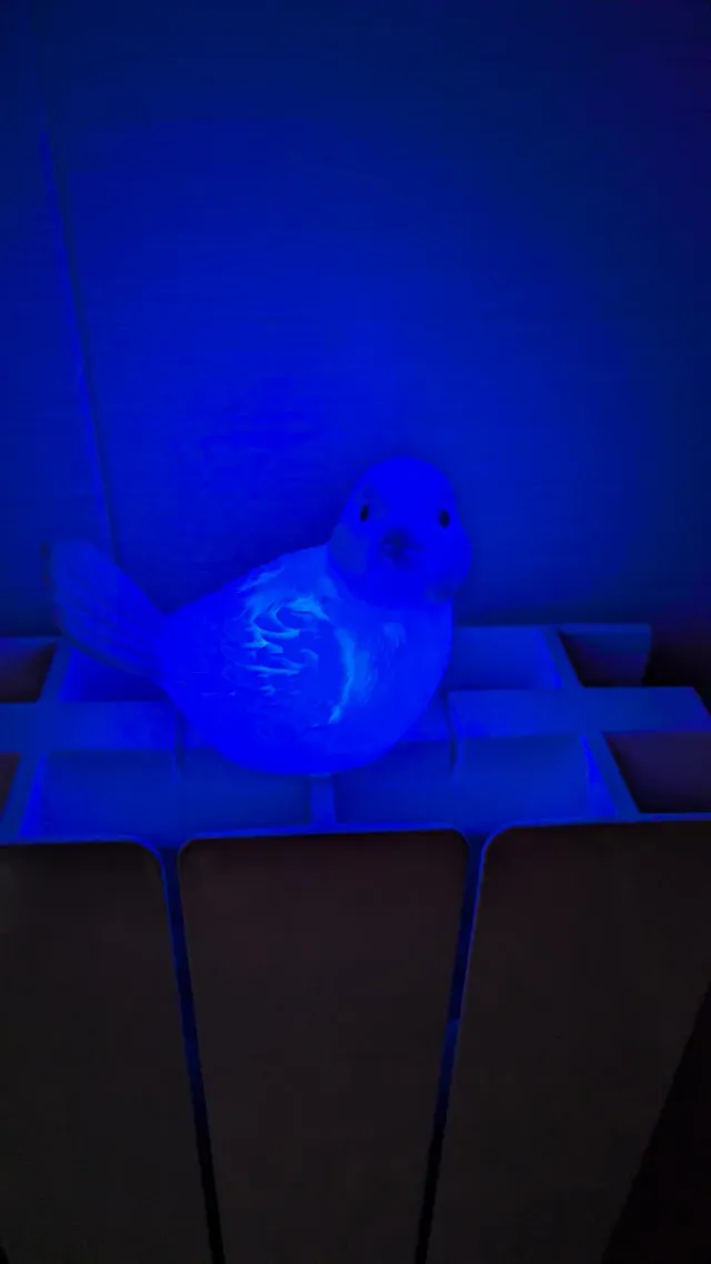 Lámpara pájaro cambia color