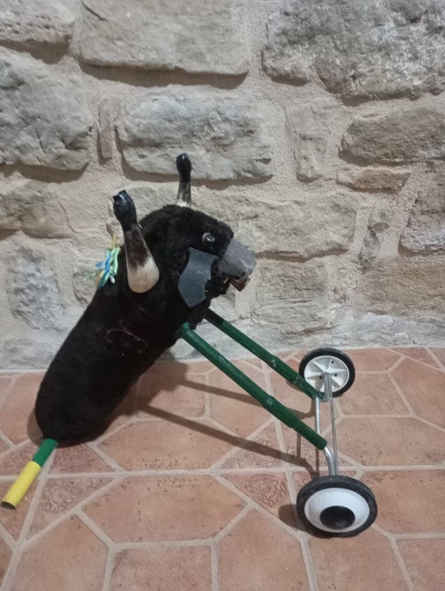 Toro con ruedas para niñ@s