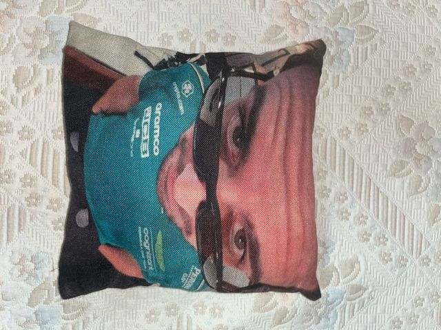 Cojín Fernando Alonso