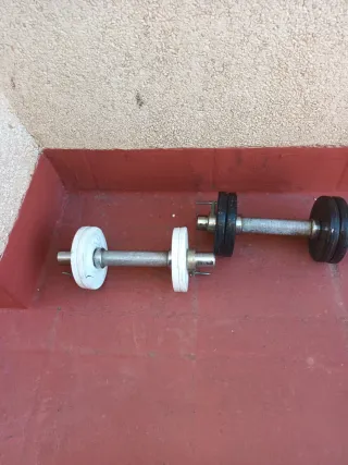 Mancuernas ajustables con discos