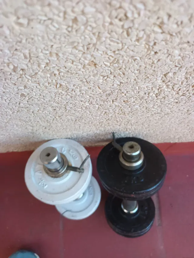 Mancuernas ajustables con discos