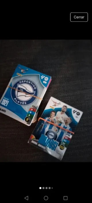 Panini Adrenalyn 2024/2025