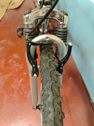 Bicicleta Plegable Adulto