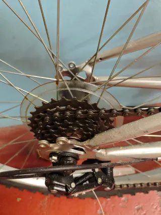 Bicicleta Plegable Adulto