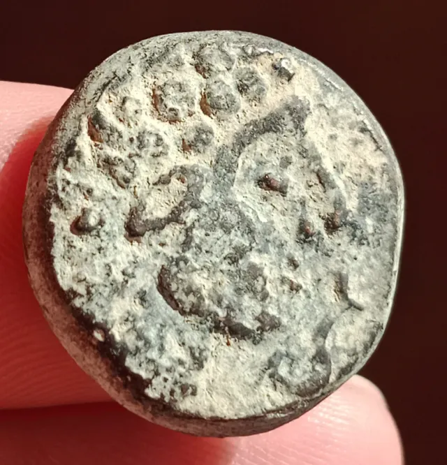 Raro semis de Olkairun