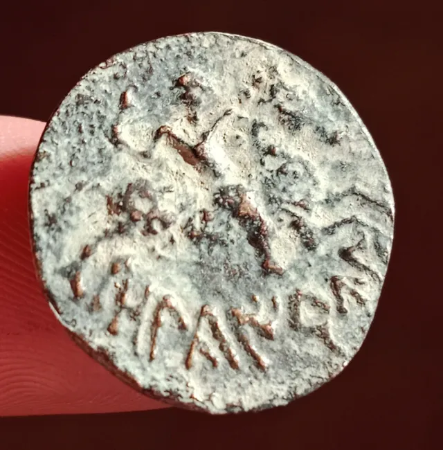 Raro semis de Olkairun