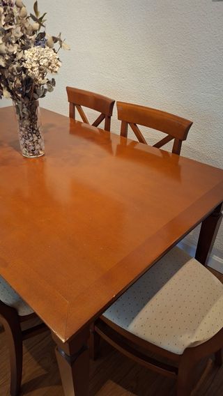 Conjunto Comedor: Mesa + 6 Sillas Madera Maciza