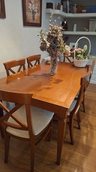 Conjunto Comedor: Mesa + 6 Sillas Madera Maciza