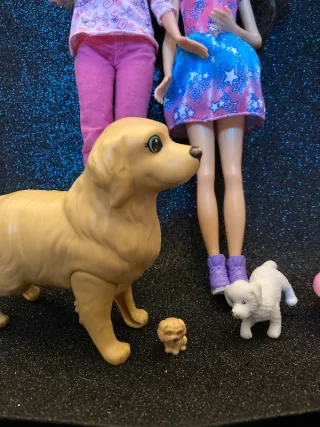 Set Barbie veterinaria con accessori